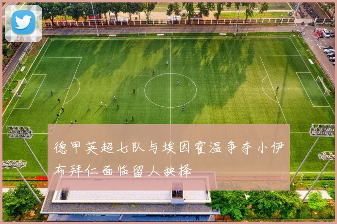德甲英超七队与埃因霍温争夺小伊布拜仁面临留人抉择