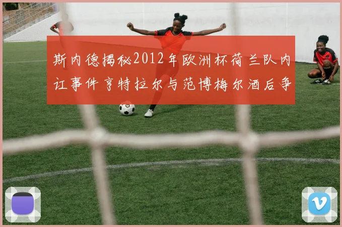 斯内德揭秘2012年欧洲杯荷兰队内讧事件亨特拉尔与范博梅尔酒后争执内幕