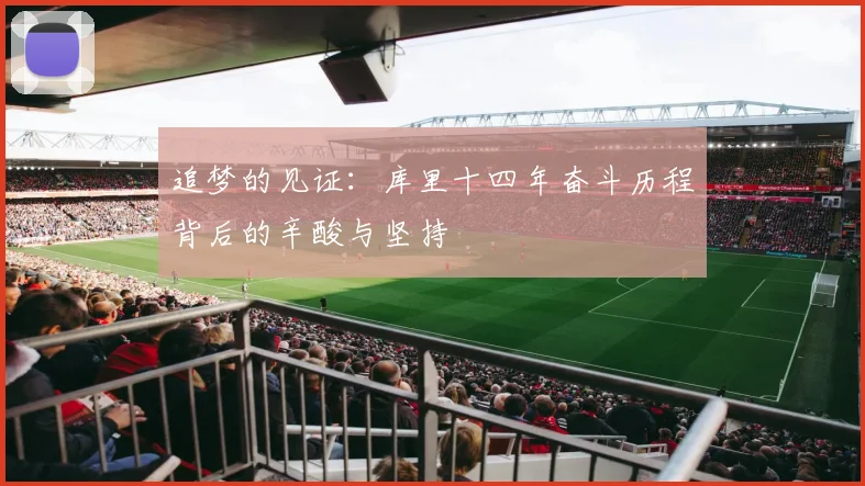 追梦的见证：库里十四年奋斗历程背后的辛酸与坚持